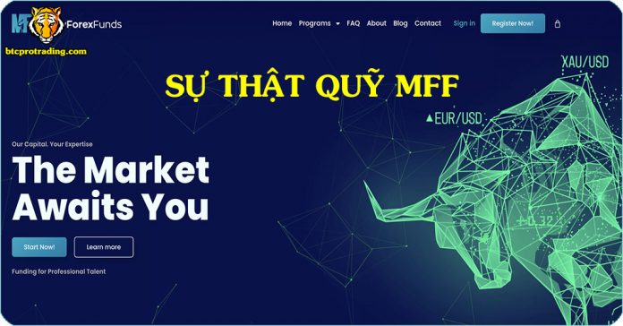 Đánh Giá Quỹ MFF,Review Quỹ MFF,Sự Thật Về quỹ MFF