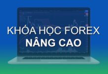 Khóa Học Forex: Bước Đầu Tự Tin Với Khóa Học Chuyên Sâu Khóa Học Forex