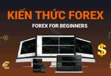Khóa Học Forex: Hành Trình Tìm Hiểu và Nắm Bắt Cơ Hội Tài Chính Khóa Học Forex