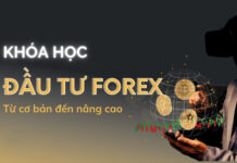 Học Forex: Hành Trình Tìm Hiểu và Thành Công Trên Thị Trường Ngoại Hối khóa học forex